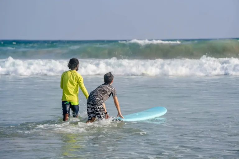 Surf / Bodyboard / SUP